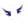 Back Accessory 3