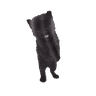 Cat 3