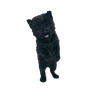 Cat 5