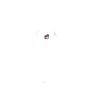 Face 2